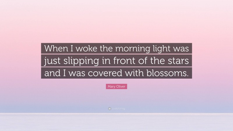 Mary Oliver Quote: “When I woke the morning light was just slipping in front of the stars and I was covered with blossoms.”