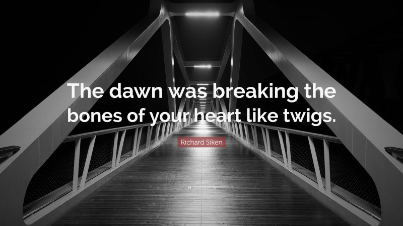 Richard Siken Quote: “The dawn was breaking the bones of your heart like twigs.”