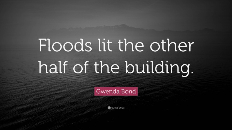Gwenda Bond Quote: “Floods lit the other half of the building.”