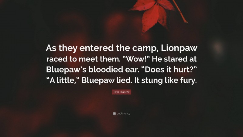 Erin Hunter Quote: “As they entered the camp, Lionpaw raced to meet them. “Wow!” He stared at Bluepaw’s bloodied ear. “Does it hurt?” “A little,” Bluepaw lied. It stung like fury.”