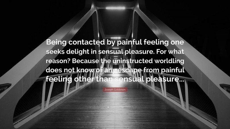 Joseph Goldstein Quote: “Being contacted by painful feeling one seeks delight in sensual pleasure. For what reason? Because the uninstructed worldling does not know of any escape from painful feeling other than sensual pleasure...”