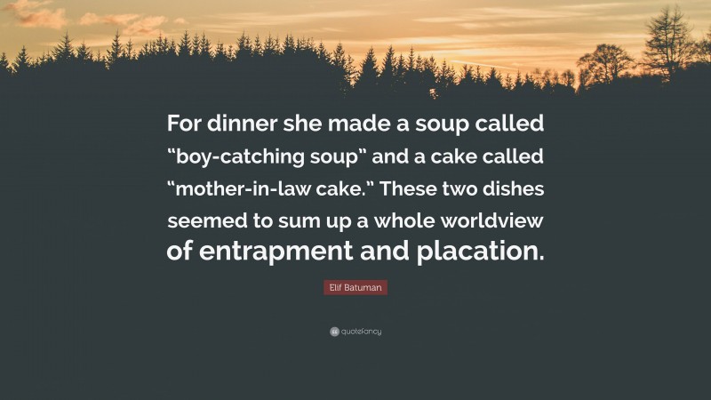Elif Batuman Quote: “For dinner she made a soup called “boy-catching soup” and a cake called “mother-in-law cake.” These two dishes seemed to sum up a whole worldview of entrapment and placation.”
