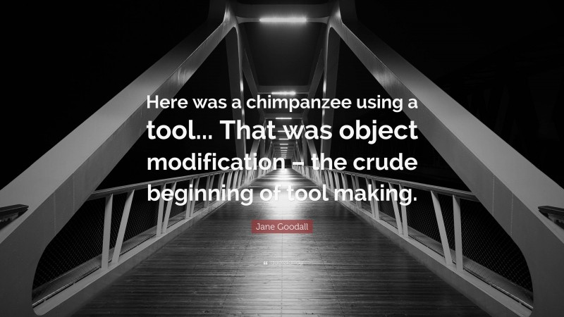 Jane Goodall Quote: “Here was a chimpanzee using a tool... That was object modification – the crude beginning of tool making.”