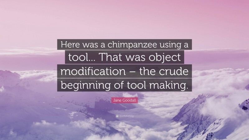 Jane Goodall Quote: “Here was a chimpanzee using a tool... That was object modification – the crude beginning of tool making.”