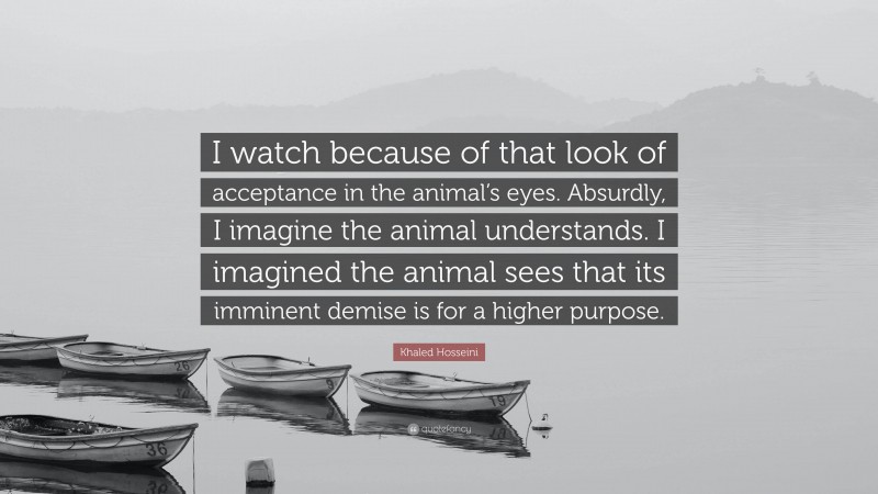 Khaled Hosseini Quote: “I watch because of that look of acceptance in the animal’s eyes. Absurdly, I imagine the animal understands. I imagined the animal sees that its imminent demise is for a higher purpose.”