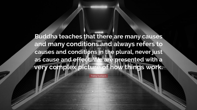 Traleg Kyabgon Quote: “Buddha teaches that there are many causes and many conditions and always refers to causes and conditions in the plural, never just as cause and effect. We are presented with a very complex picture of how things work.”