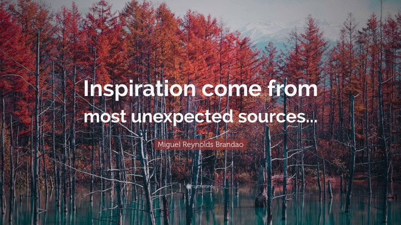 Miguel Reynolds Brandao Quote: “Inspiration come from most unexpected sources...”