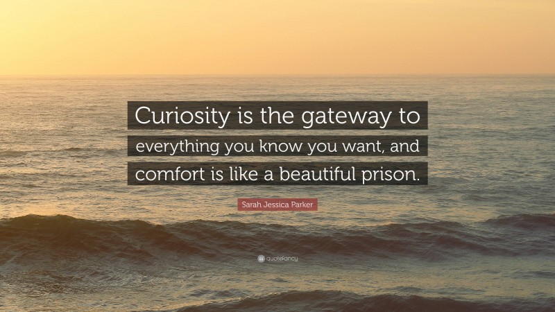 Sarah Jessica Parker Quote: “Curiosity is the gateway to everything you know you want, and comfort is like a beautiful prison.”