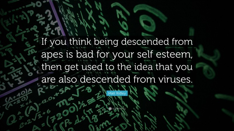 Matt Ridley Quote: “If you think being descended from apes is bad for your self esteem, then get used to the idea that you are also descended from viruses.”