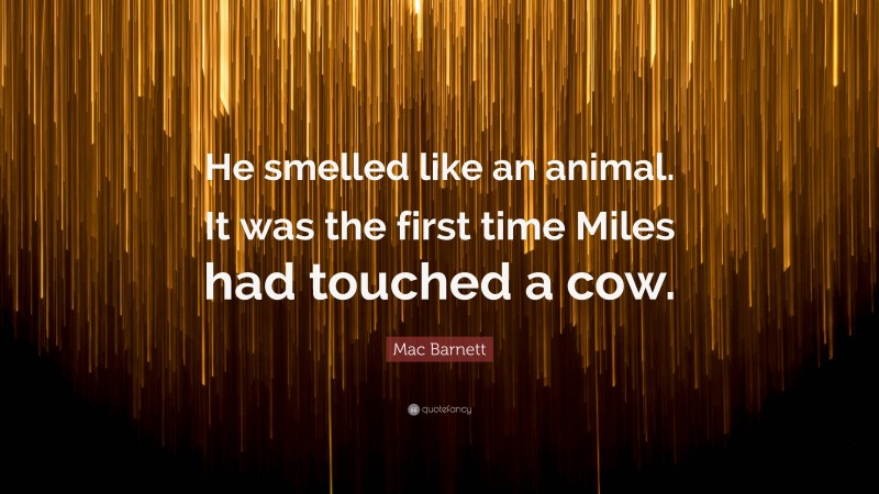 Mac Barnett Quote: “He smelled like an animal. It was the first time Miles had touched a cow.”