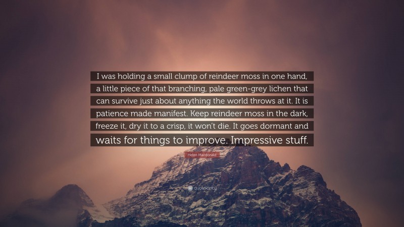 Helen Macdonald Quote: “I was holding a small clump of reindeer moss in one hand, a little piece of that branching, pale green-grey lichen that can survive just about anything the world throws at it. It is patience made manifest. Keep reindeer moss in the dark, freeze it, dry it to a crisp, it won’t die. It goes dormant and waits for things to improve. Impressive stuff.”