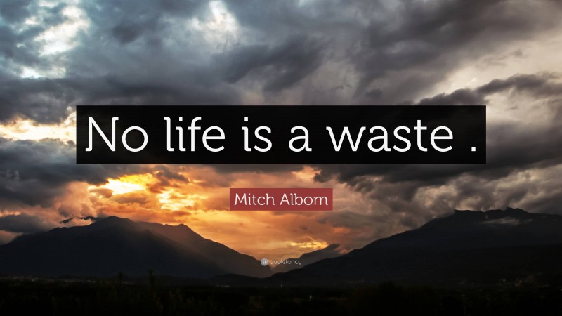 Mitch Albom Quote: “No life is a waste .”