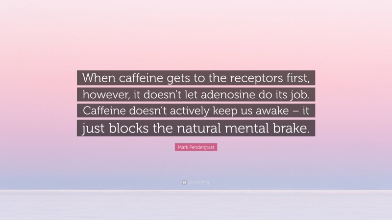 Mark Pendergrast Quote: “When caffeine gets to the receptors first, however, it doesn’t let adenosine do its job. Caffeine doesn’t actively keep us awake – it just blocks the natural mental brake.”