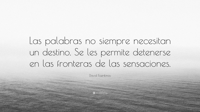 David Foenkinos Quote: “Las palabras no siempre necesitan un destino. Se les permite detenerse en las fronteras de las sensaciones.”