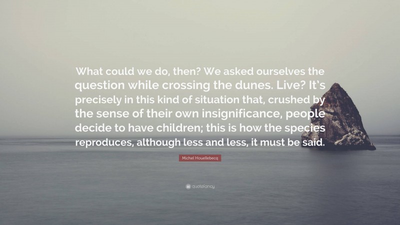 Michel Houellebecq Quote: “What could we do, then? We asked ourselves the question while crossing the dunes. Live? It’s precisely in this kind of situation that, crushed by the sense of their own insignificance, people decide to have children; this is how the species reproduces, although less and less, it must be said.”