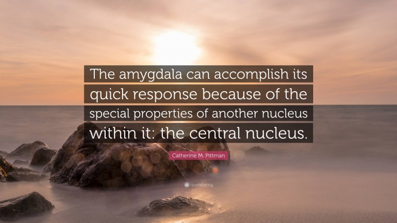 Catherine M. Pittman Quote: “The amygdala can accomplish its quick response because of the special properties of another nucleus within it: the central nucleus.”