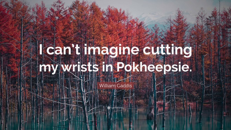 William Gaddis Quote: “I can’t imagine cutting my wrists in Pokheepsie.”