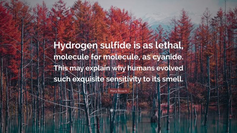 Mary Roach Quote: “Hydrogen sulfide is as lethal, molecule for molecule, as cyanide. This may explain why humans evolved such exquisite sensitivity to its smell.”