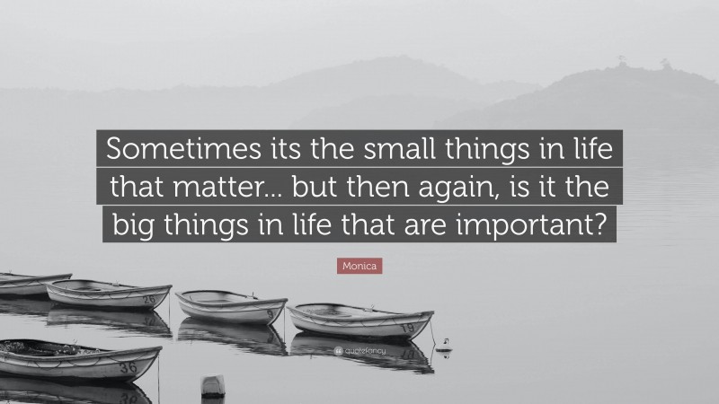 Monica Quote: “Sometimes its the small things in life that matter... but then again, is it the big things in life that are important?”