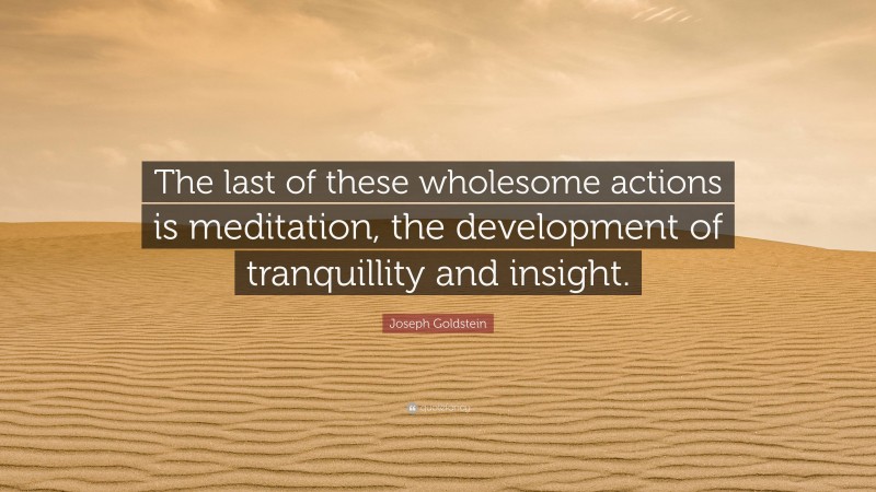 Joseph Goldstein Quote: “The last of these wholesome actions is meditation, the development of tranquillity and insight.”