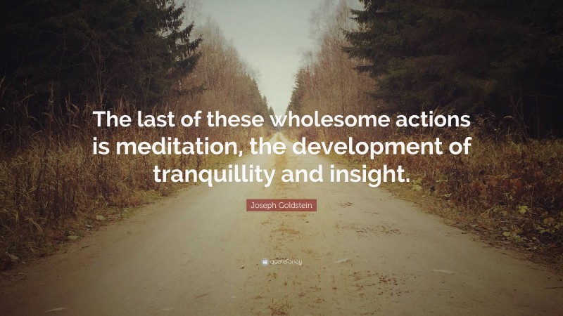 Joseph Goldstein Quote: “The last of these wholesome actions is meditation, the development of tranquillity and insight.”