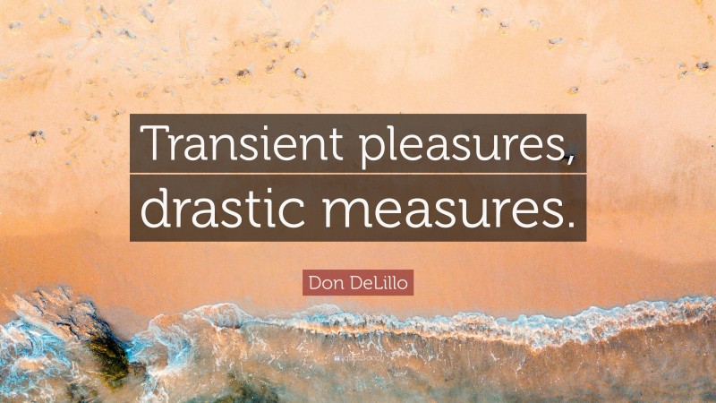 Don DeLillo Quote: “Transient pleasures, drastic measures.”