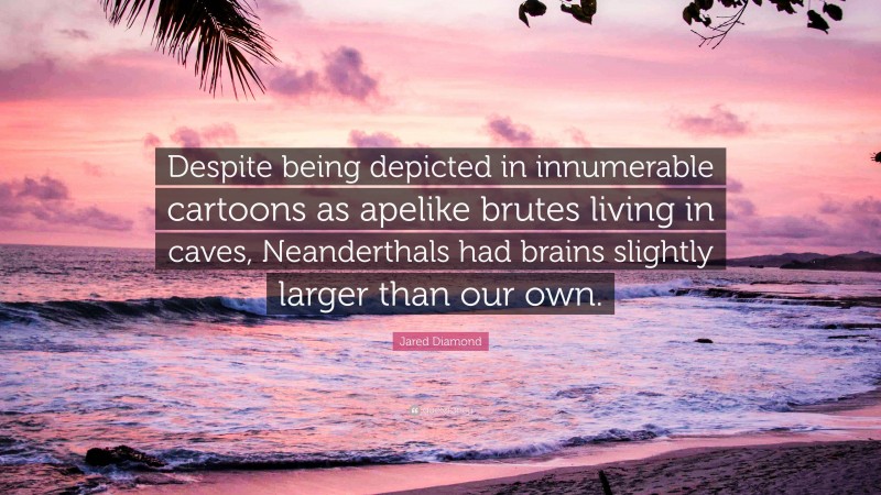 Jared Diamond Quote: “Despite being depicted in innumerable cartoons as apelike brutes living in caves, Neanderthals had brains slightly larger than our own.”