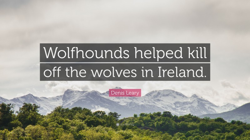 Denis Leary Quote: “Wolfhounds helped kill off the wolves in Ireland.”