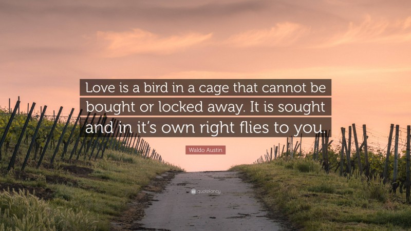 Waldo Austin Quote: “Love is a bird in a cage that cannot be bought or locked away. It is sought and in it’s own right flies to you.”