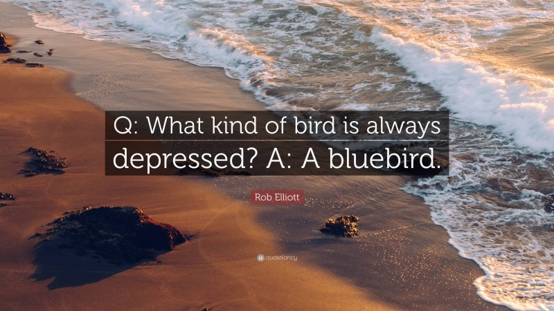 Rob Elliott Quote: “Q: What kind of bird is always depressed? A: A bluebird.”