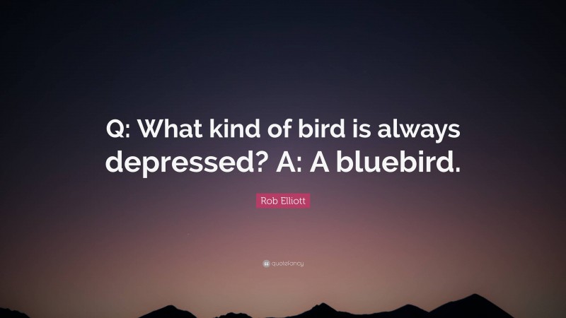 Rob Elliott Quote: “Q: What kind of bird is always depressed? A: A bluebird.”