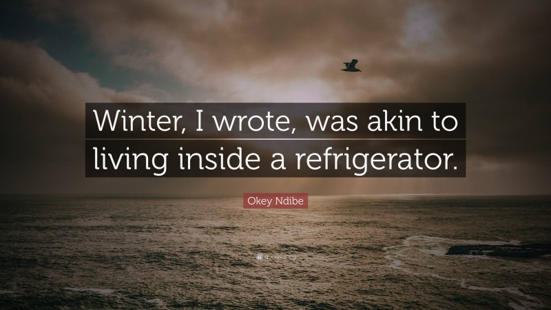 Okey Ndibe Quote: “Winter, I wrote, was akin to living inside a refrigerator.”