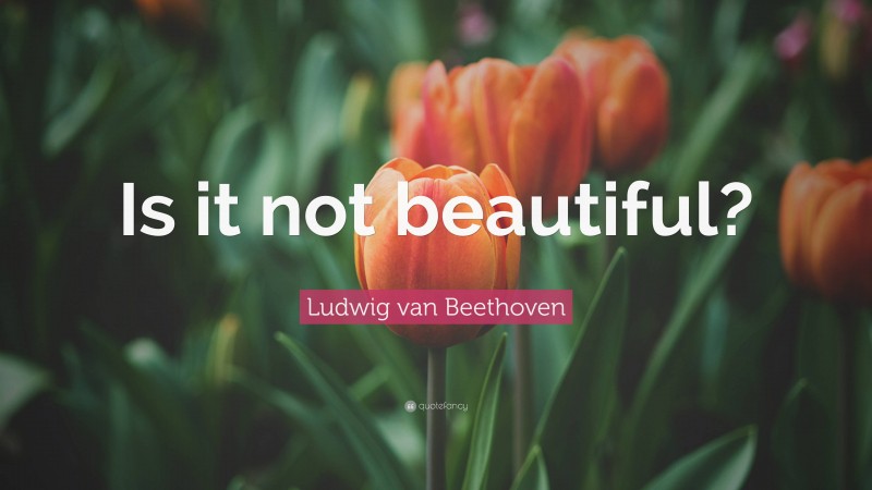 Ludwig van Beethoven Quote: “Is it not beautiful?”