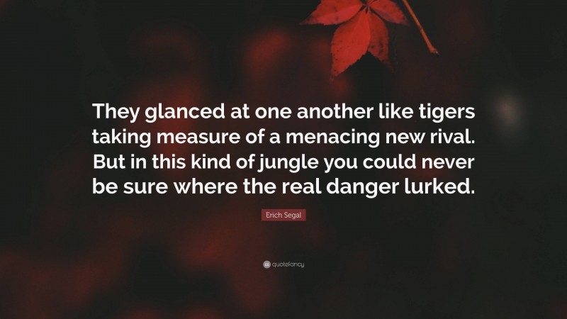 Erich Segal Quote: “They glanced at one another like tigers taking measure of a menacing new rival. But in this kind of jungle you could never be sure where the real danger lurked.”