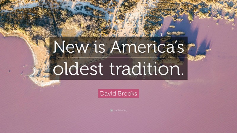 David Brooks Quote: “New is America’s oldest tradition.”