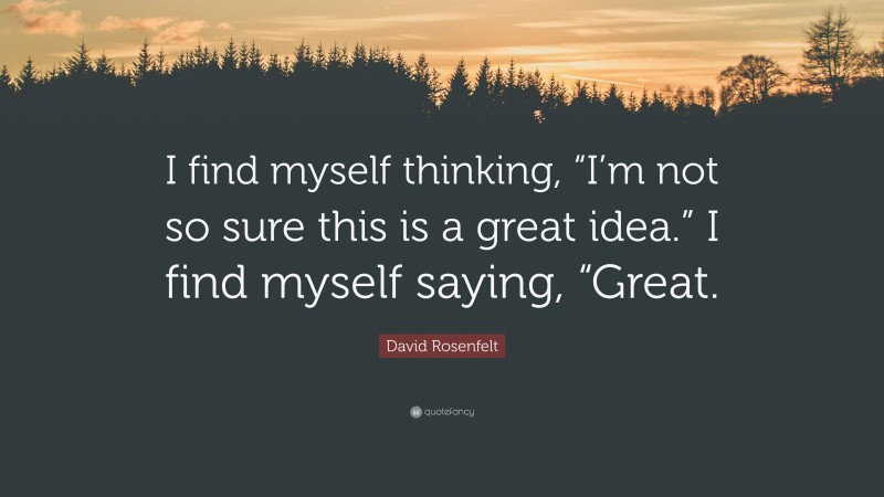 David Rosenfelt Quote: “I find myself thinking, “I’m not so sure this is a great idea.” I find myself saying, “Great.”
