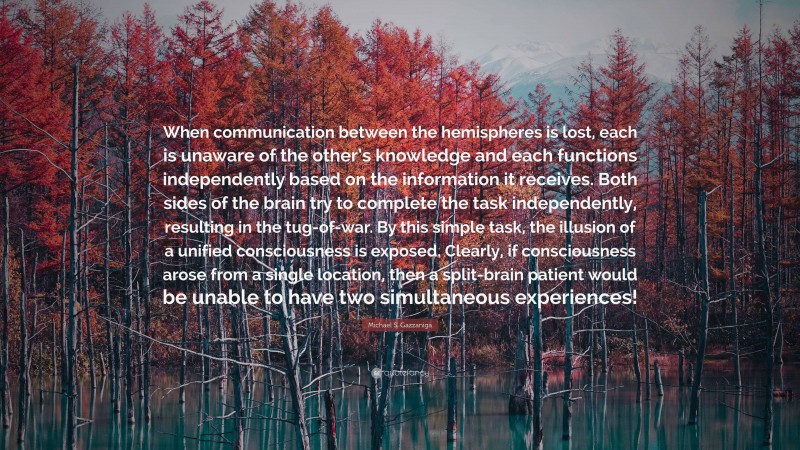 Michael S. Gazzaniga Quote: “When communication between the hemispheres is lost, each is unaware of the other’s knowledge and each functions independently based on the information it receives. Both sides of the brain try to complete the task independently, resulting in the tug-of-war. By this simple task, the illusion of a unified consciousness is exposed. Clearly, if consciousness arose from a single location, then a split-brain patient would be unable to have two simultaneous experiences!”