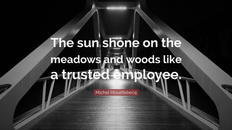 Michel Houellebecq Quote: “The sun shone on the meadows and woods like a trusted employee.”