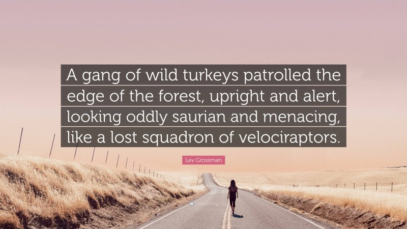 Lev Grossman Quote: “A gang of wild turkeys patrolled the edge of the forest, upright and alert, looking oddly saurian and menacing, like a lost squadron of velociraptors.”