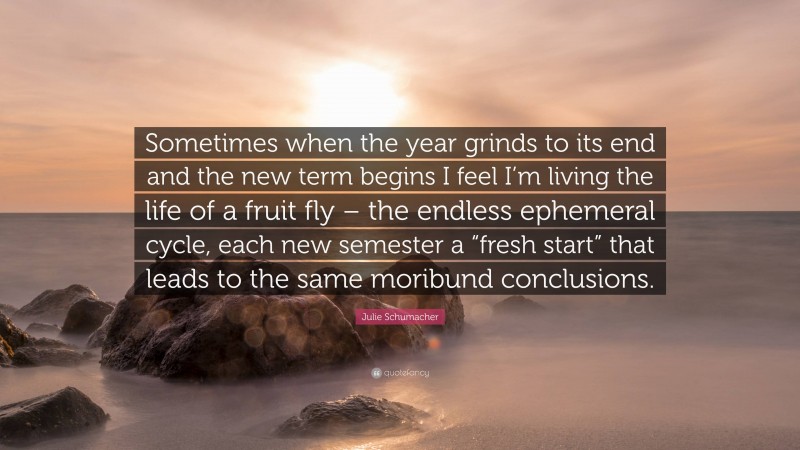 Julie Schumacher Quote: “Sometimes when the year grinds to its end and the new term begins I feel I’m living the life of a fruit fly – the endless ephemeral cycle, each new semester a “fresh start” that leads to the same moribund conclusions.”