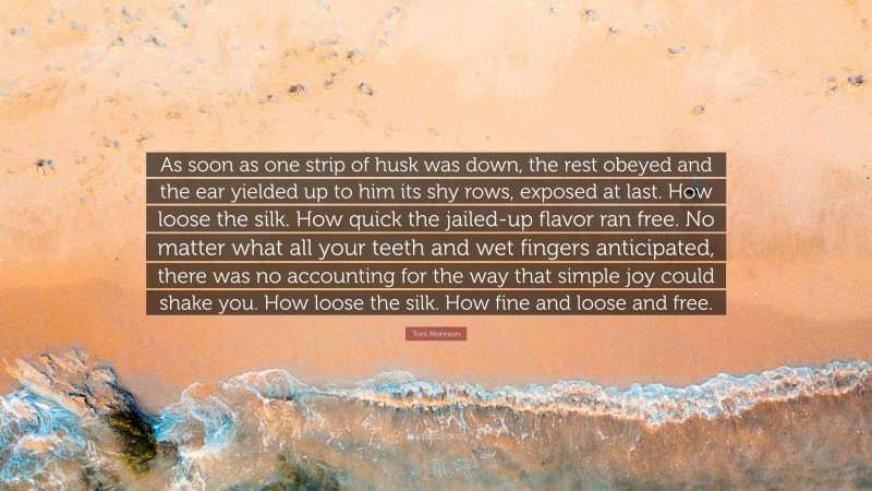 Toni Morrison Quote: “As soon as one strip of husk was down, the rest obeyed and the ear yielded up to him its shy rows, exposed at last. How loose the silk. How quick the jailed-up flavor ran free. No matter what all your teeth and wet fingers anticipated, there was no accounting for the way that simple joy could shake you. How loose the silk. How fine and loose and free.”