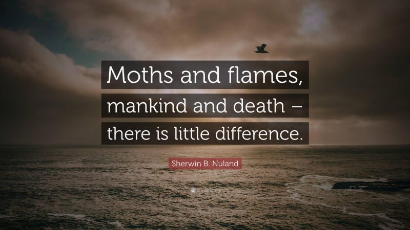 Sherwin B. Nuland Quote: “Moths and flames, mankind and death – there is little difference.”
