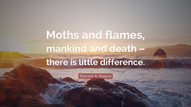 Sherwin B. Nuland Quote: “Moths and flames, mankind and death – there is little difference.”