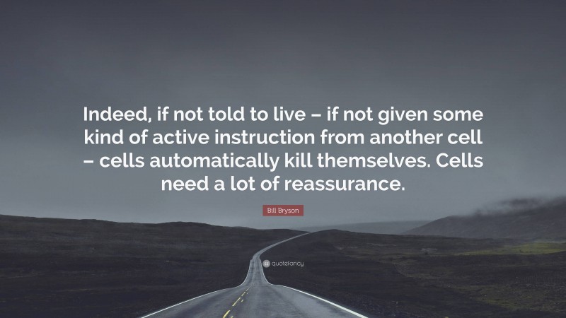 Bill Bryson Quote: “Indeed, if not told to live – if not given some kind of active instruction from another cell – cells automatically kill themselves. Cells need a lot of reassurance.”