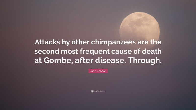 Jane Goodall Quote: “Attacks by other chimpanzees are the second most frequent cause of death at Gombe, after disease. Through.”