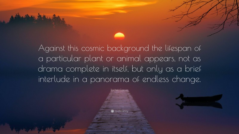 Rachel Carson Quote: “Against this cosmic background the lifespan of a particular plant or animal appears, not as drama complete in itself, but only as a brief interlude in a panorama of endless change.”