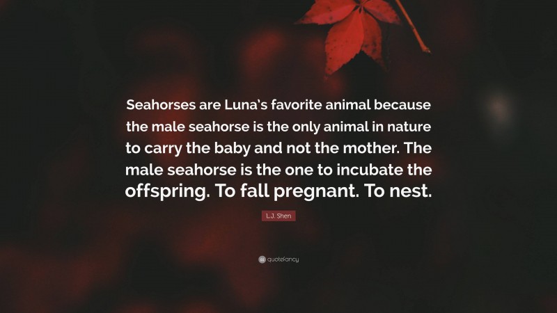 L.J. Shen Quote: “Seahorses are Luna’s favorite animal because the male seahorse is the only animal in nature to carry the baby and not the mother. The male seahorse is the one to incubate the offspring. To fall pregnant. To nest.”