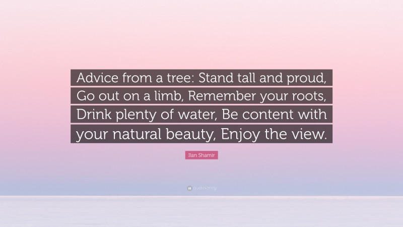 Ilan Shamir Quote: “Advice from a tree: Stand tall and proud, Go out on a limb, Remember your roots, Drink plenty of water, Be content with your natural beauty, Enjoy the view.”