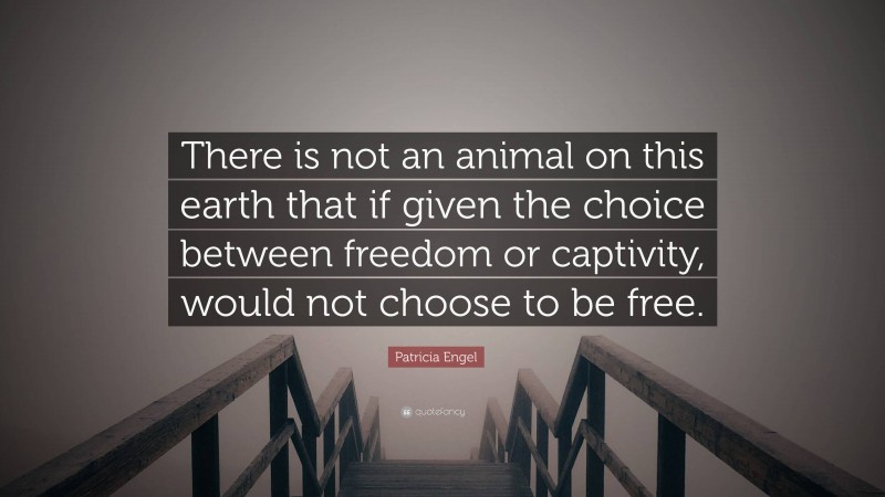 Patricia Engel Quote: “There is not an animal on this earth that if given the choice between freedom or captivity, would not choose to be free.”