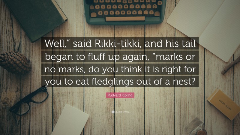 Rudyard Kipling Quote: “Well,” said Rikki-tikki, and his tail began to fluff up again, “marks or no marks, do you think it is right for you to eat fledglings out of a nest?”